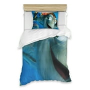 Finding Nemo 2 Piece Set Breathable Down Comforter + 1 Pillowcase, Twin Bed Printed Bedding Set, Boys Girls Teen Bedding Set Twin 39x80 Inch